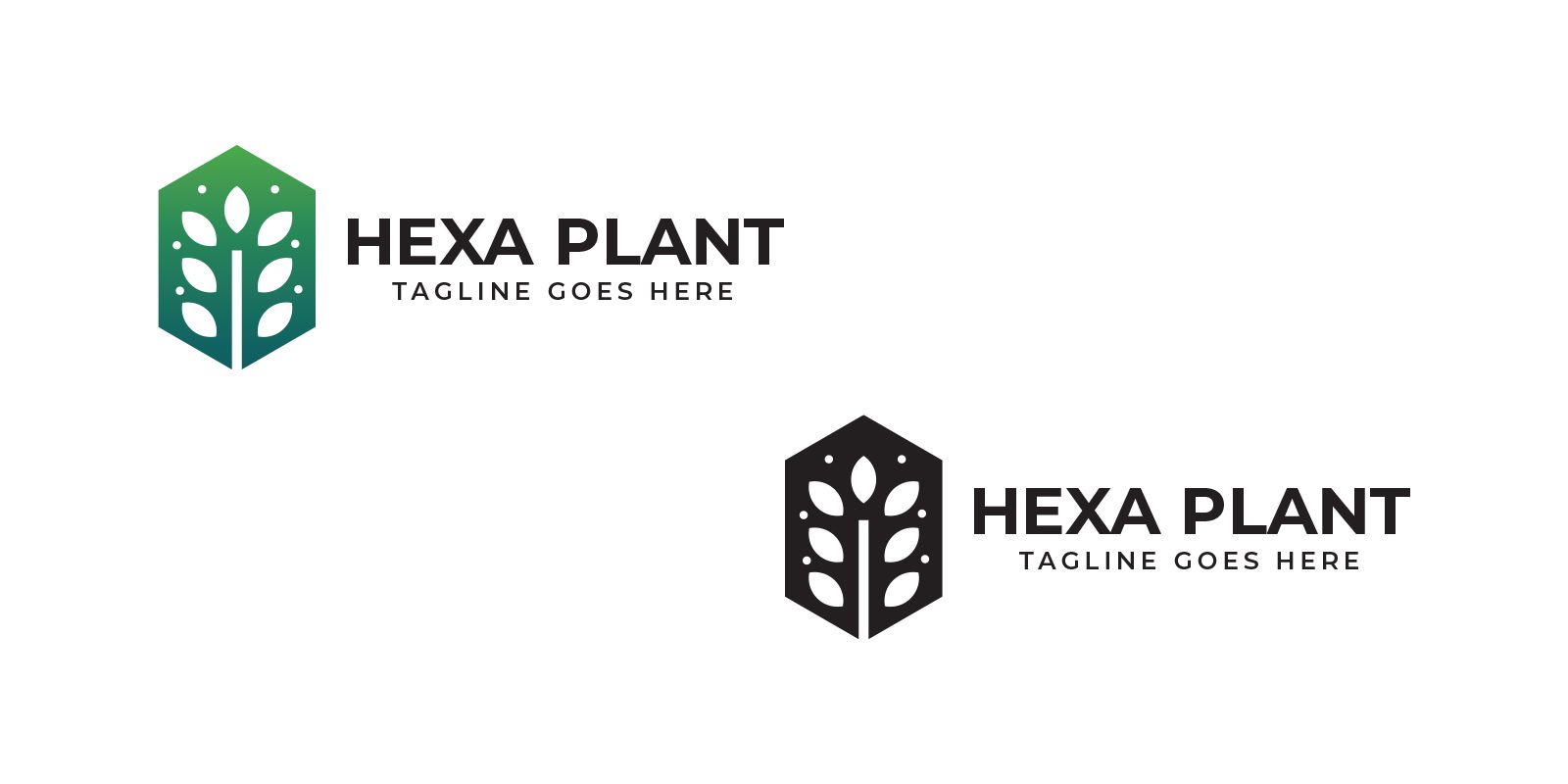 Дизайн логотипа Hexa Plant